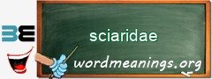 WordMeaning blackboard for sciaridae